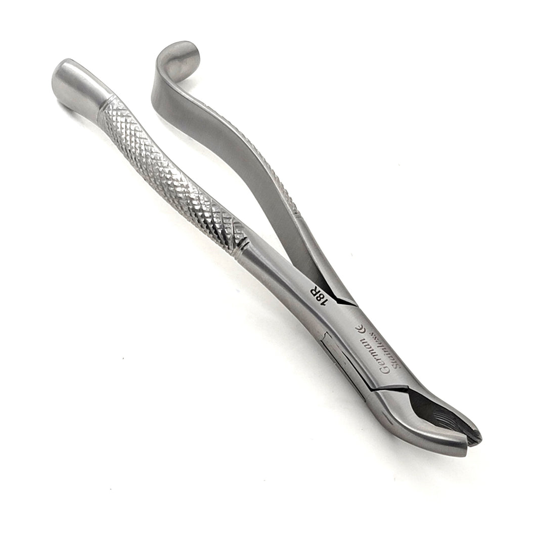 Premium Quality Dental Extraction Extracting Forceps #18R Satin, Stainless Steel