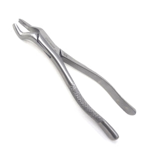Premium Quality Dental Extraction Extracting Forceps #53L Satin, Stainless Steel