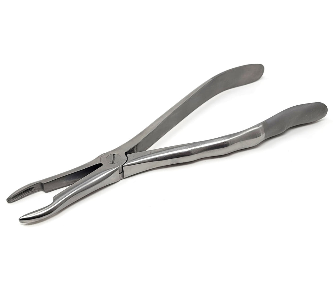 Premium Quality Dental Extraction Extracting Forceps #841 Satin, Stainless Steel