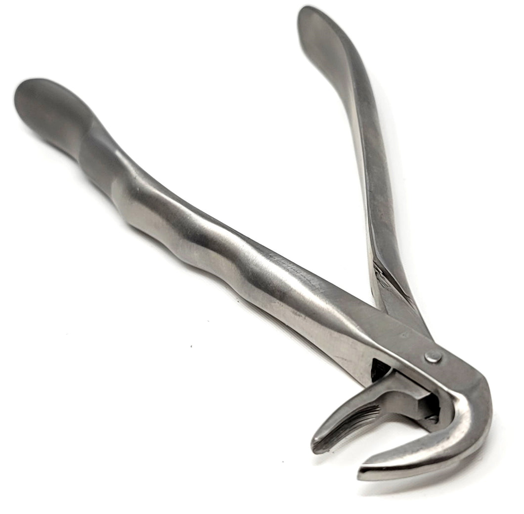 Premium Quality Dental Extraction Extracting Forceps #859 Satin, Stainless Steel