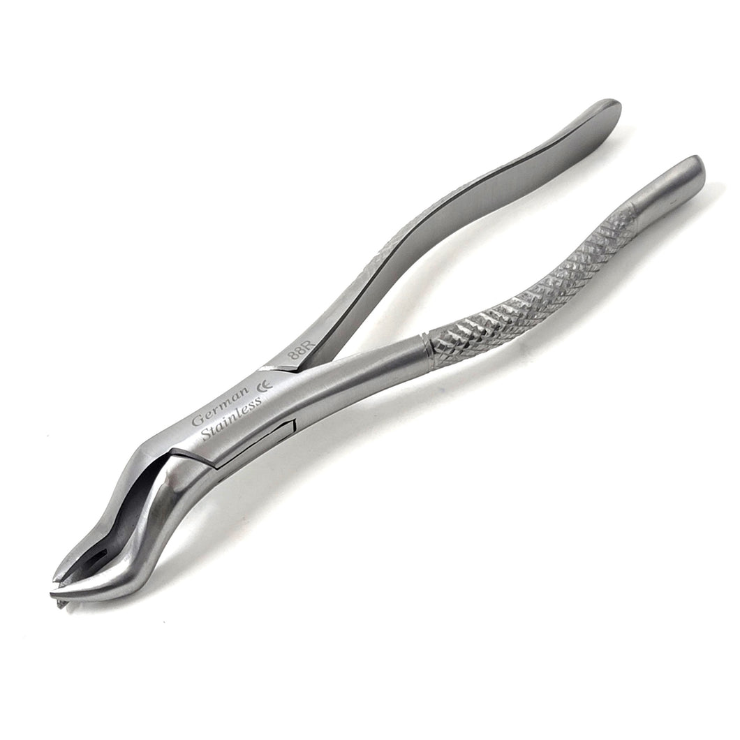 Premium Quality Dental Extraction Extracting Forceps #88R Satin, Stainless Steel