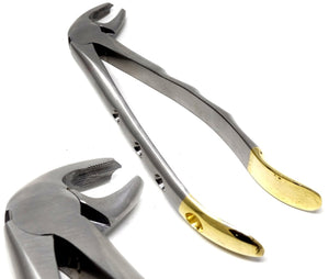 Premium Quality Dental Extracting Extraction Forceps MD4, Gold Handle, Stainless Steel