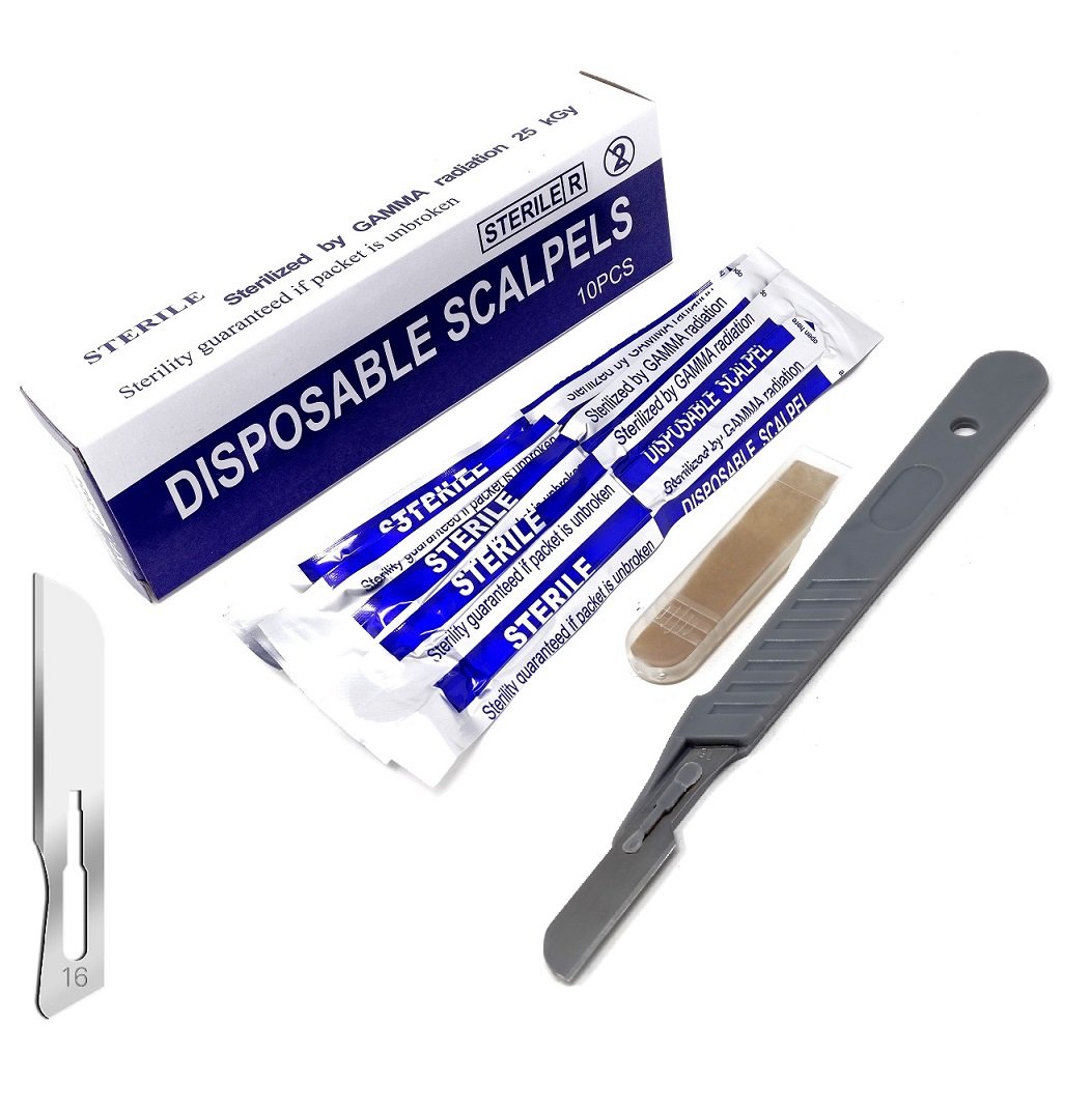 Disposable Scalpels #16, High-Carbon Steel Blades, Plastic Handle, Sterile,  Box of 10