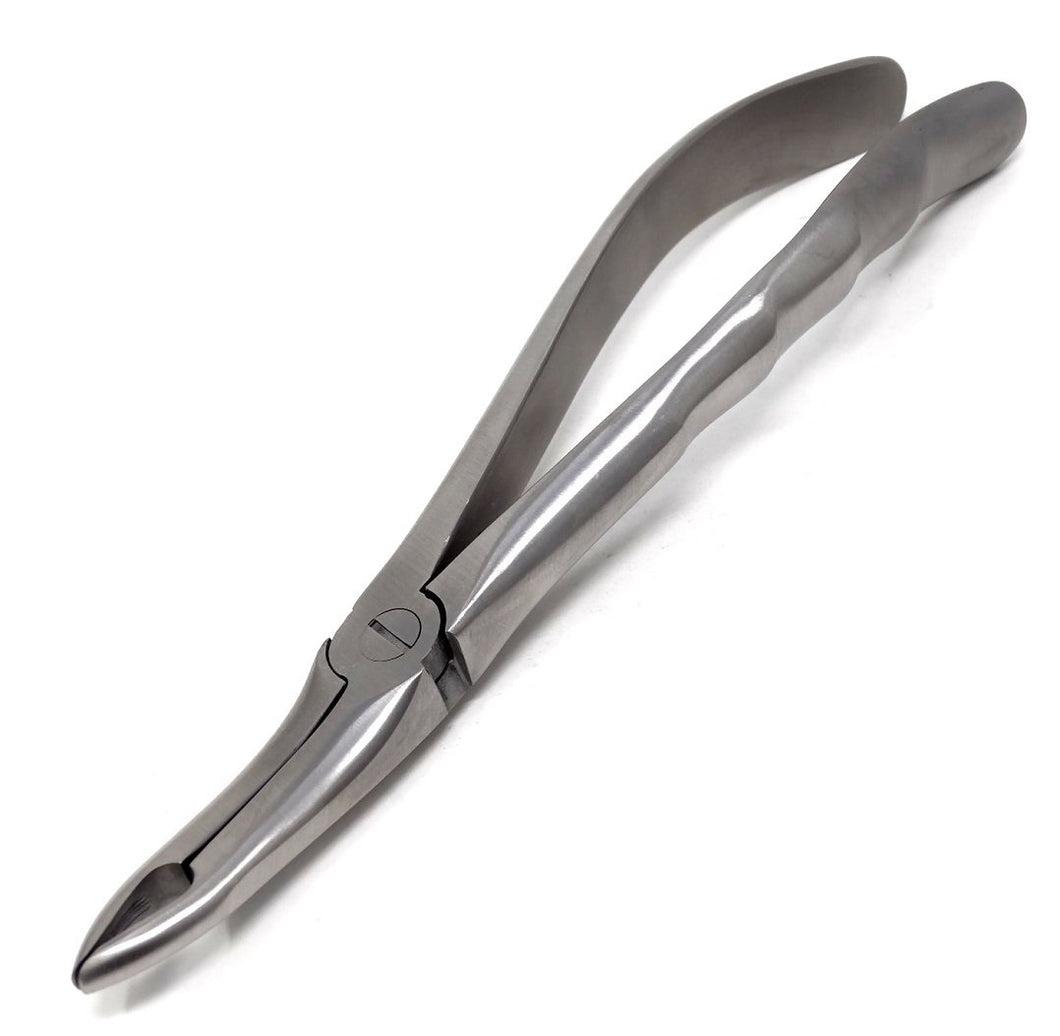 Premium Quality Dental Extracting Extracting Forceps #844 Satin, Stainless Steel