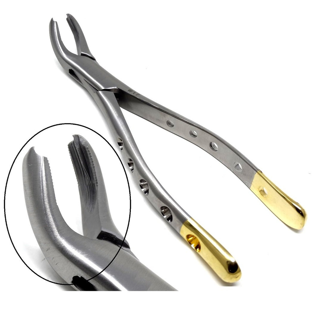 Premium Quality Dental Extracting Extraction Forceps #17, Gold Handle, Stainless Steel