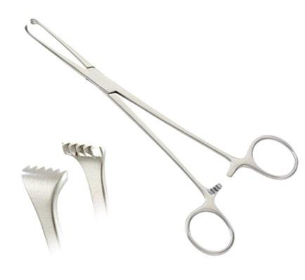 Premium Allis Tissue Clamp Forceps 6