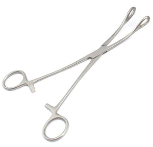 Sponge Holding Forceps 7" Curved, Stainless Steel