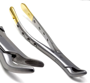 Premium Quality Dental Extracting Extraction Forceps #151, Gold Handle, Stainless Steel