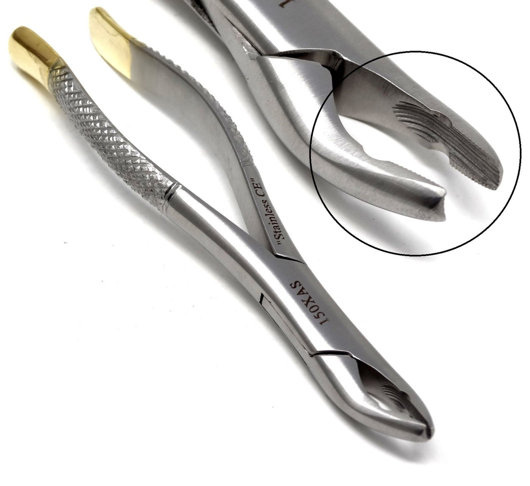 Premium Quality Dental Extracting Extraction Forceps 150XAS, Gold Handle, Stainless Steel