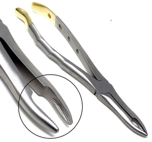 Premium Quality Dental Extracting Extraction Forceps #41, Gold Handle, Stainless Steel